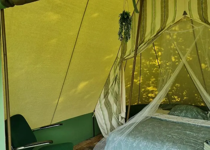 Ont Moeten - Tijdloos