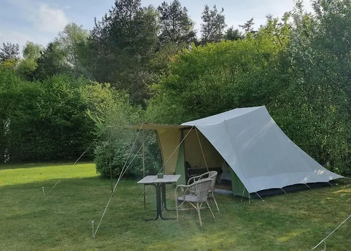 Ont Moeten - Tijdloos